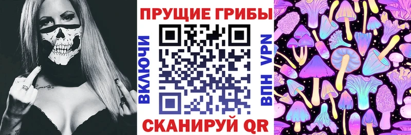 Купить  Кондопога  Псилоцибиновые грибы мухоморы 